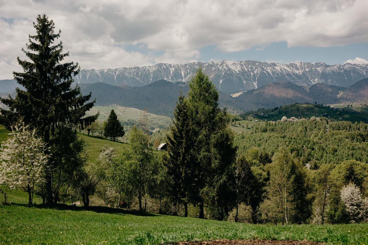 Silver Mountain B12 Poiana Brașov Exterior foto
